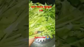 Dhone patar chop recipe 😋 cooking । [upl. by Weinreb892]