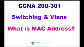 CCNA 200301 Module 5 Lesson 4 What is MAC Address  MAC Address Explained [upl. by Nywde632]