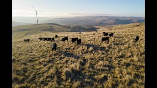 Elders Cooma  Riverview Cooma [upl. by Kosiur]