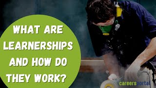 What Are Learnerships And How Do They Work  Careers Portal [upl. by Aliuqehs]