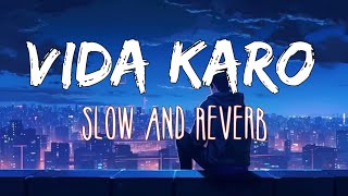 Vida Karo Lofi Song  Slow and Reverb  vidakaro lofi lofimusic lofisong hindilovesong [upl. by Eissert]