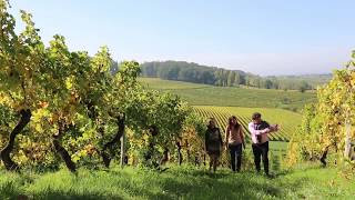 Cette année destination la Dordogne Périgord [upl. by Sabba]