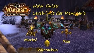 WoWGuide PetLeveln mit der Menagerie 03  Würmchen Murksi und Piex [upl. by Ettennad]