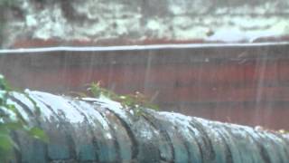 Jarrow Floods 5th Aug 2012 [upl. by Carrnan]