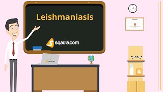 Leishmaniasis  Animation Video  Infectious Medicine  VLearning™  sqadiacom [upl. by Amyaj254]