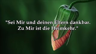 Koran auf deutsch mit Erklärung Sura 31  Luqman  ᴴᴰ [upl. by Reich]