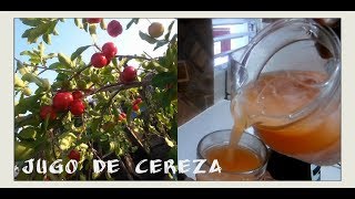 COMO PREPARA UN RICO JUGO DE CEREZA TROPICAL O ACEROLA [upl. by Eiramanel42]