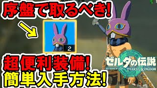 【ティアキン】序盤に絶対取って！超便利おすすめ装備！取り方！【ゼルダの伝説】 [upl. by Annaehs]