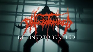 Phlebotomized  Destined To Be Killed Official Video [upl. by Jaunita]