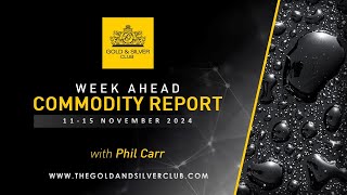 WEEK AHEAD COMMODITY REPORT Gold Silver amp Crude Oil Price Forecast 11  15 November 2024 [upl. by Salkin]