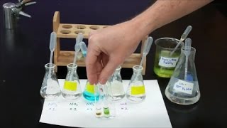 Qual Lab  Nitrate Test [upl. by Ahsinam]