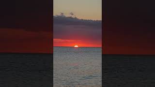 Breathtaking Gulf Sunset over Venice Fl  Florida Guld Coast Boat Tour [upl. by Yauqaj719]