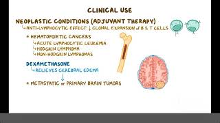 Glucocorticoids Pharmacology [upl. by Maxa]