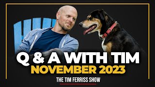 QampA with Tim Ferriss — AI Companions Longevity Levers Writers Block LowBack Pain amp Much More [upl. by Kutzer]