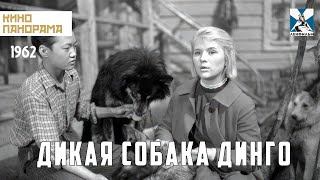 Дикая собака динго 1962 год драма [upl. by Fagen700]