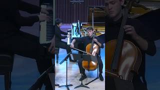 Brahms B Major Trio  3 Adagio fyp cello brahms [upl. by Fifine198]