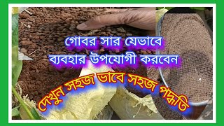 গোবর সার কিভাবে ব্যবহার উপযোগী করবেনcowdung organicfertilizerviralvideogardeningmillionviews [upl. by Demha]