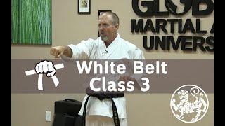 Shotokan Karate Beginner Follow Along Training Class  9th Kyu White Belt  Class 3 [upl. by Ortensia]