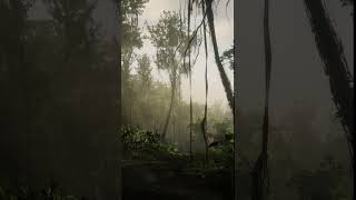 RDR2 Guarma Tropical Jungle 5 rdr2 gamingambience atmosphere gaming [upl. by Arrol493]