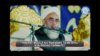 Hazrat Maula Ali Kya Irshad Farmate Hai  Maulana Shakir Noorie [upl. by Loralie]