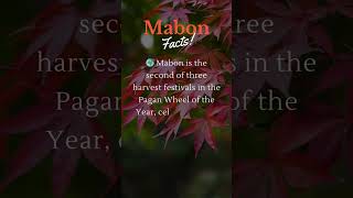 Mabon Facts lightwarriorslegion mabon paganism [upl. by Best]