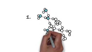 The Difference Between CNC amp CNP Fit Testing [upl. by Rosenfeld]