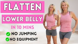 Lose Lower Belly In 10 Mins With No Equipment [upl. by Fira550]