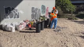 San Diego completes major cleanup of encampments under I5 [upl. by Liauqram]