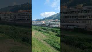 Città pescia youtube like travel 魚市 Рыбный город italia [upl. by Husain]