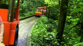 Puerto Rico Cuevas de Camuy  Camuy River Cave Park [upl. by Tra]