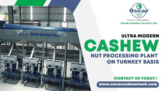 Ultra Modern Cashew Nut Processing Plant on Turnkey Basis Cashew Processing Plant oscarcashewtech [upl. by Notsirk]