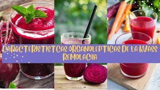 Microbiología aplicada Características organolepticas de la kvass de remolacha sin fermentación [upl. by Enileuqkcaj]