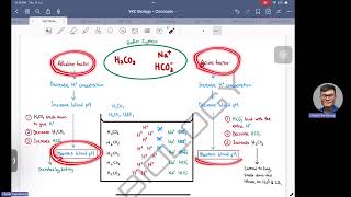 Key Concepts of Carbonic AcidBicarbonate Buffer System [upl. by Mian]