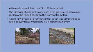 Using Rain Gardens and Bioswales to Harvest Water with OSU Master Gardeners 2024 [upl. by Kaja823]