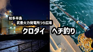 【知多半島 新しい釣り場】武豊火力発電所つり広場でクロダイのヘチ釣り [upl. by Ambrosane]