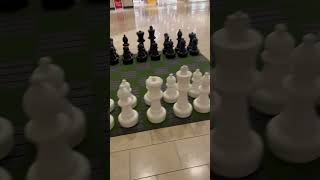 Large Chess Board Actually Set Up shorts shoppingmall [upl. by Eneryc204]