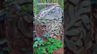 Purulia Pakhi Pahar [upl. by Latsryk427]