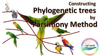 Phylogenetic analysis by Maximum Parsimony method [upl. by Kyne]