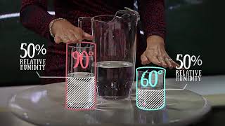 Weather 101 Humidity VS Dewpoint [upl. by Egon]