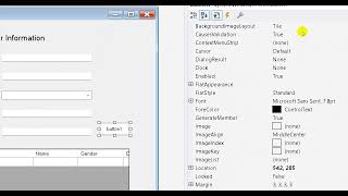 16How to create Customer DataGridView [upl. by Eimaraj129]