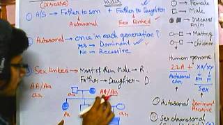 6 Pedigree analysis  autosomal recessive [upl. by Had]