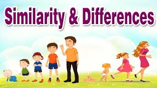 Similarity and Differences  Educational Videos For Kids [upl. by Nuriel]