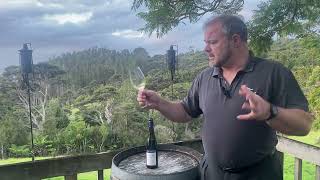 Wine Review Grosset Polish Hill Clare Valley Riesling 2022 [upl. by Oric]