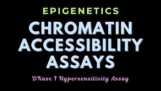 DNase I hypersensitivity assay  Chromatin remodeling assays  Epigenetics  GATECSIRNET [upl. by Ycat]