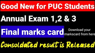 2nd PUC Annual exam combined result 2024final marks card 2024 final exam 12amp3 results link ksea [upl. by Mireielle399]