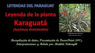 La planta Karaguatá Leyenda del Paraguay [upl. by Nalek]