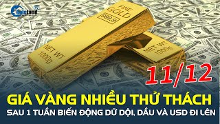 Sau một tuần BIẾN ĐỘNG DỮ DỘI giá vàng 1112 nhiều thử thách dầu và USD đi lên CafeLand [upl. by Oijimer]