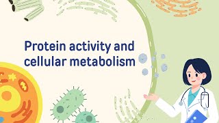 Protein activity and cellular metabolism Part II [upl. by Ahsiruam]