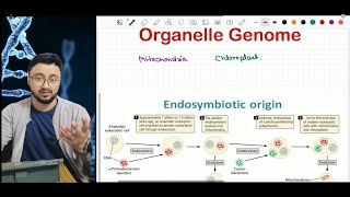 Organelle genome Origin story of Mitochondria and Chloroplast ARS Agri Biotech  CSIR ICARJRF [upl. by Entwistle]