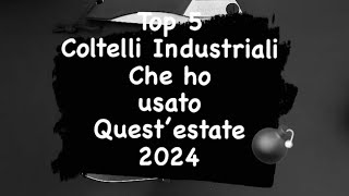 Top 5 Coltelli Industriali che ho usato quest’ estate 2024 [upl. by Hairahcez963]